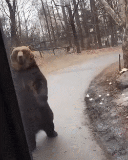 Acid Gifdump, February 5 (25 gifs)
