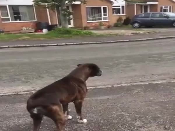 He Knows This Sound