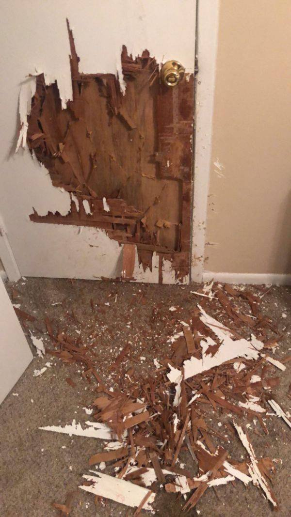 Bad Days Happen (48 pics)
