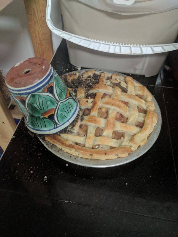 Bad Days Happen (48 pics)