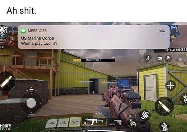 Pictures For Gamers (42 pics)
