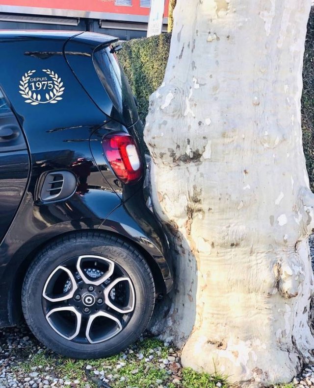 Perfect Coincidences (41 pics)