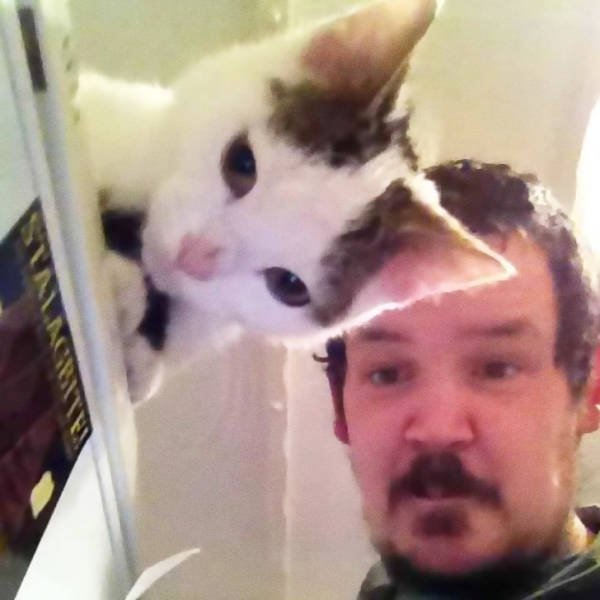Perfect Coincidences (41 pics)