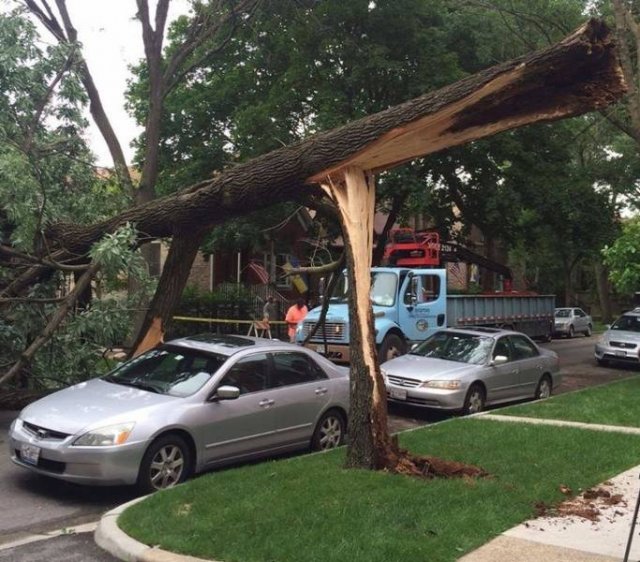 Perfect Coincidences (41 pics)