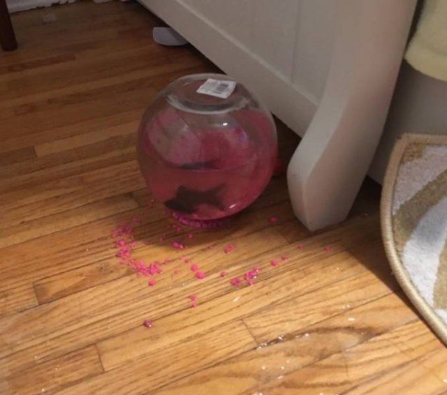 Perfect Coincidences (41 pics)