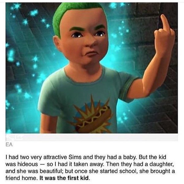 The Sims Memes (48 pics)