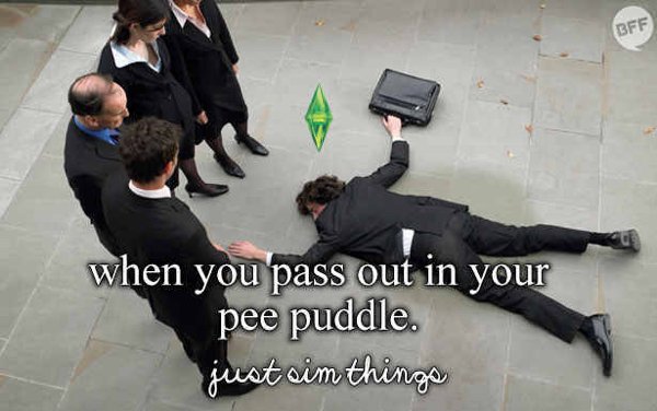 The Sims Memes (48 pics)