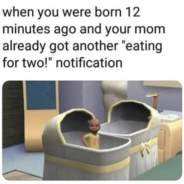 The Sims Memes (48 pics)