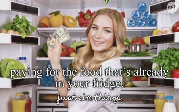 The Sims Memes (48 pics)