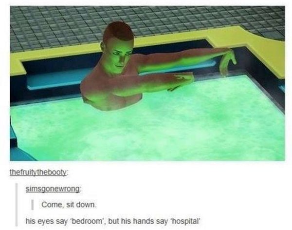 The Sims Memes (48 pics)