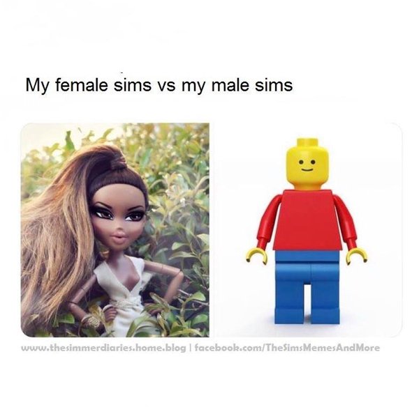 The Sims Memes (48 pics)