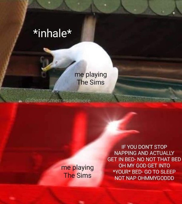 The Sims Memes (48 pics)