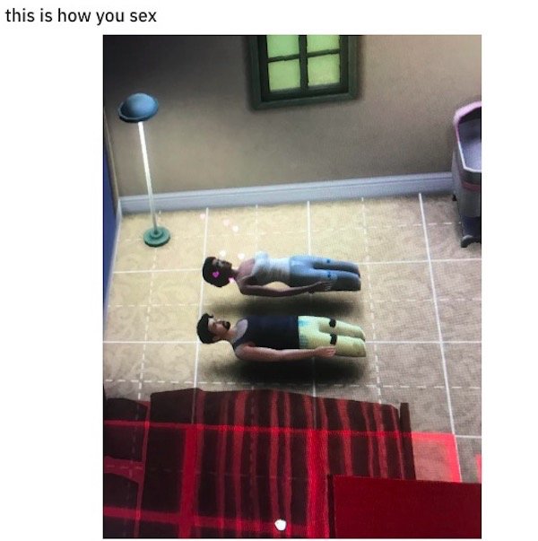 The Sims Memes (48 pics)