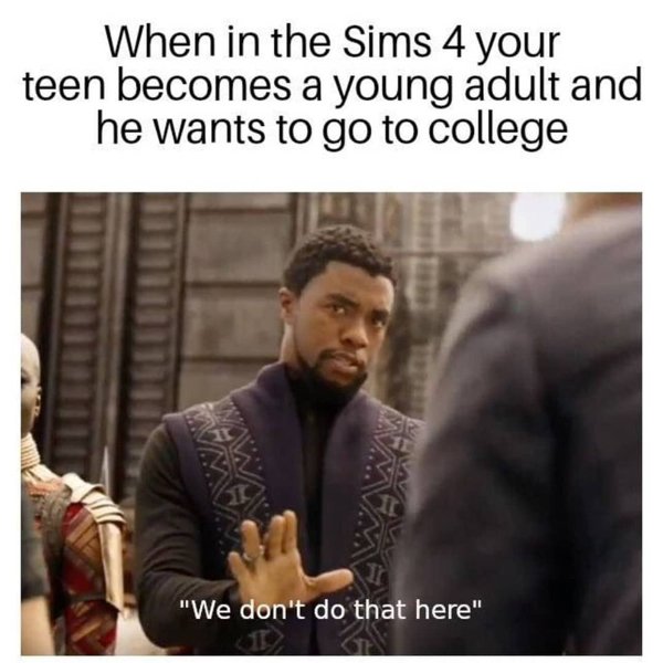 The Sims Memes (48 pics)