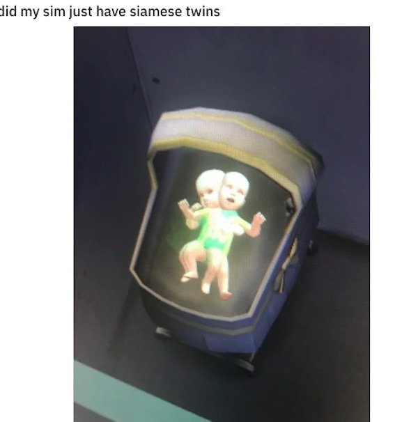 The Sims Memes (48 pics)