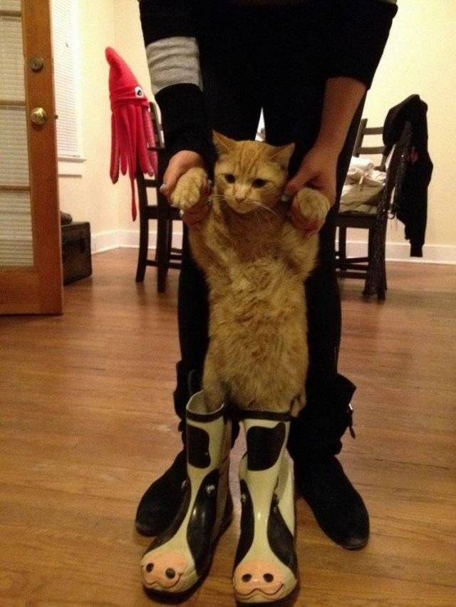 Acid Picdump. Part 1 (99 pics)