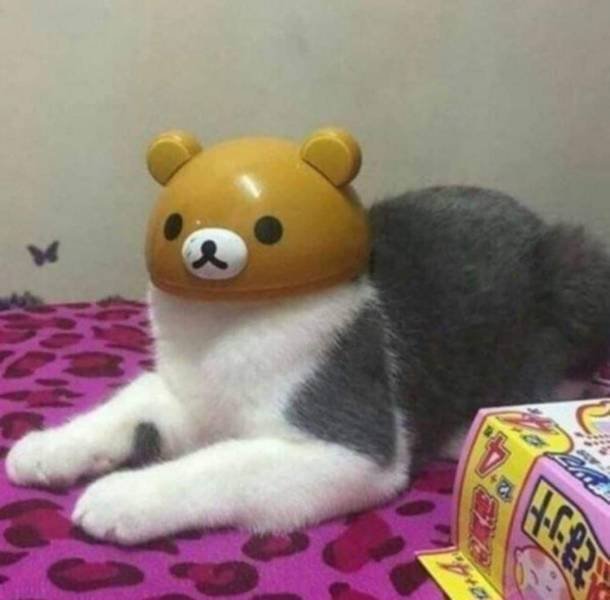 Acid Picdump. Part 1 (99 pics)