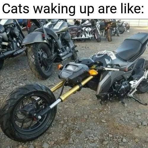 Acid Picdump. Part 2 (100 pics)