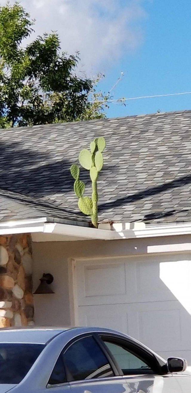 Acid Picdump. Part 1 (99 pics)