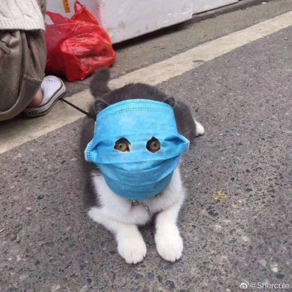 Acid Picdump. Part 2 (100 pics)