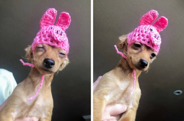 Family Jokes (18 pics)