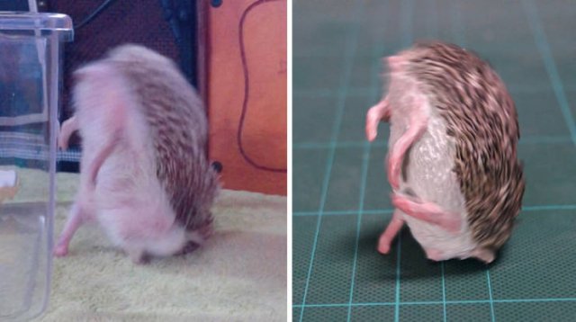 Japanese Artist Turns Funny Animals Into Sculptures (30 pics)