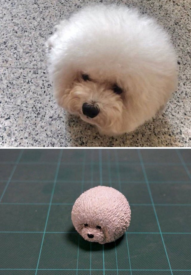 Japanese Artist Turns Funny Animals Into Sculptures (30 pics)
