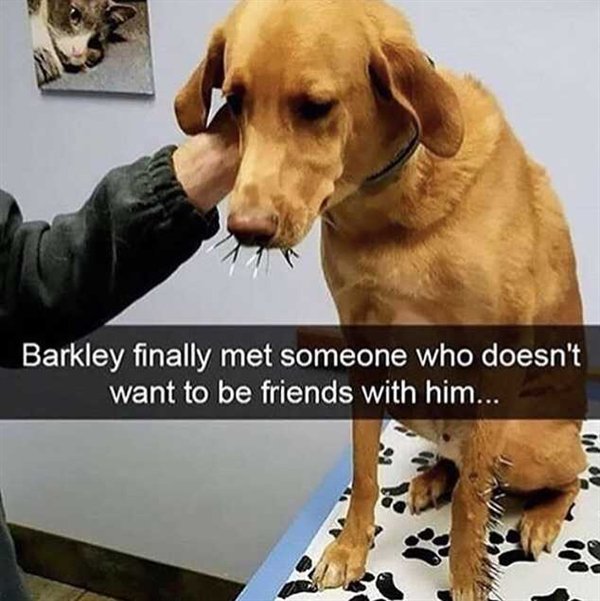 At Least They Tried (25 pics)