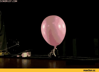 Slow-Motion GIFs (16 gifs)