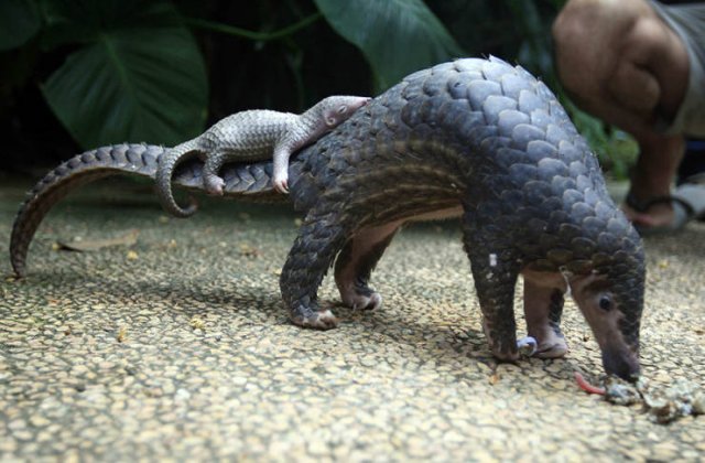 Acid Picdump. Part 2 (95 pics)