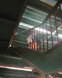 Acid Gifdump, February 12 (25 gifs)