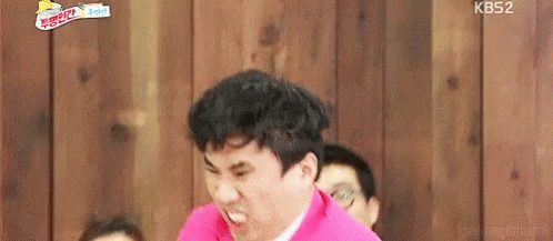 Japanese TV Shows (18 gifs)