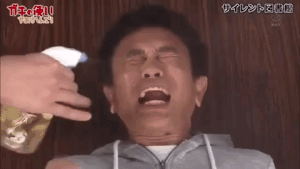 Japanese TV Shows (18 gifs)