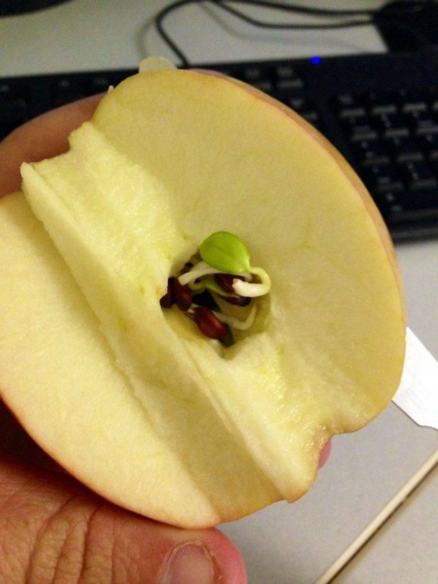 Look Inside (30 pics)