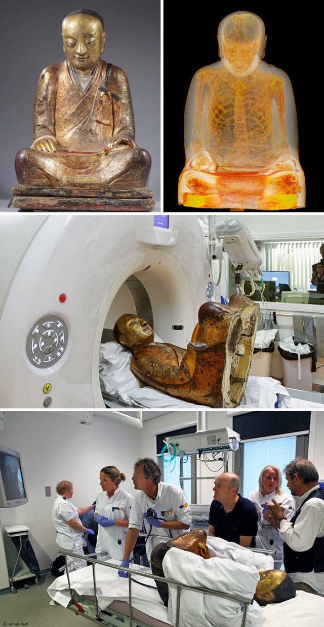 Look Inside (30 pics)