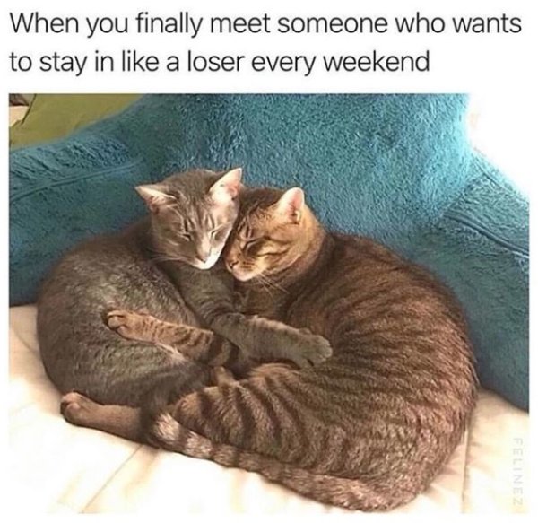 Dating Memes (30 pics)