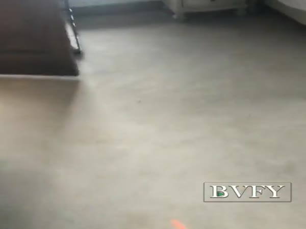 Squirrel Killer