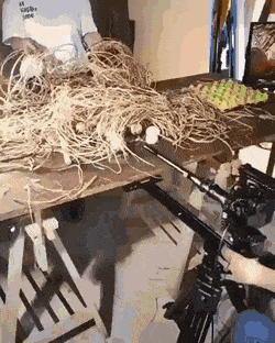Acid Gifdump, February 14 (25 gifs)