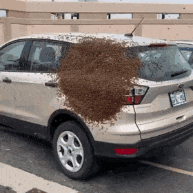 Acid Gifdump, February 14 (25 gifs)