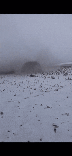 Acid Gifdump, February 14 (25 gifs)