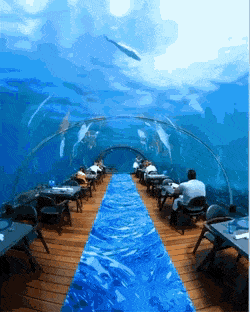 Acid Gifdump, February 14 (25 gifs)