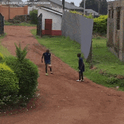 Acid Gifdump, February 14 (25 gifs)