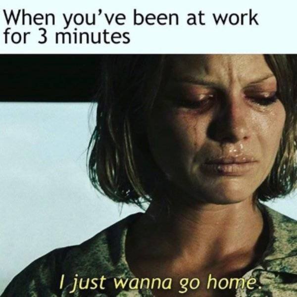 Job Memes (23 pics)