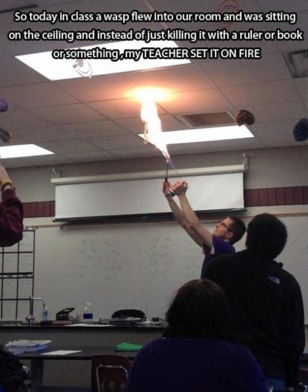 Teachers Have Fun (25 pics)