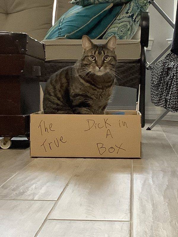 Acid Picdump. Part 1 (95 pics)
