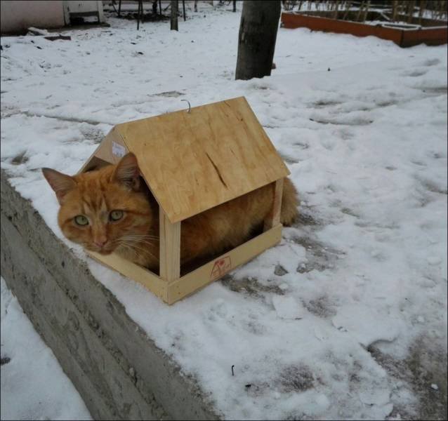 Acid Picdump. Part 1 (95 pics)