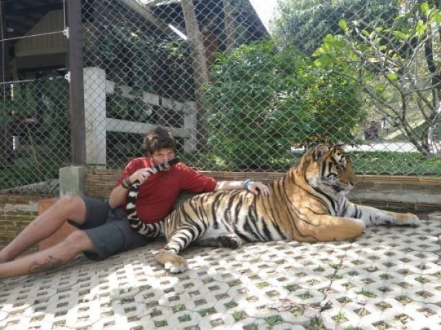 Acid Picdump. Part 1 (95 pics)