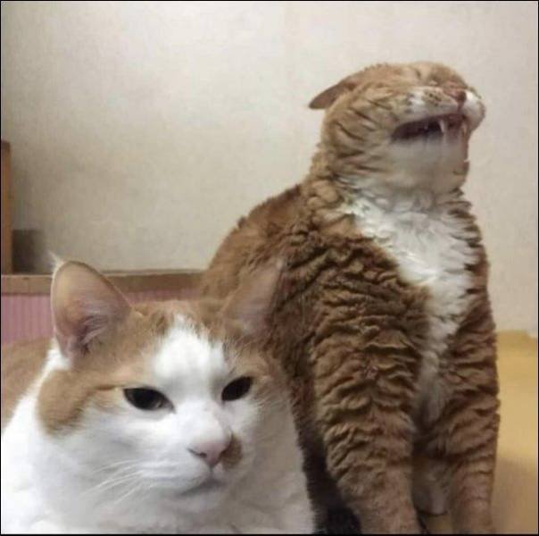 Acid Picdump. Part 1 (95 pics)