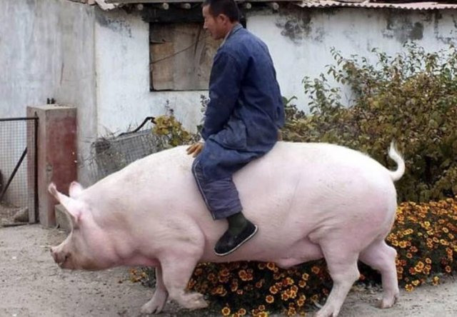 Acid Picdump. Part 2 (95 pics)