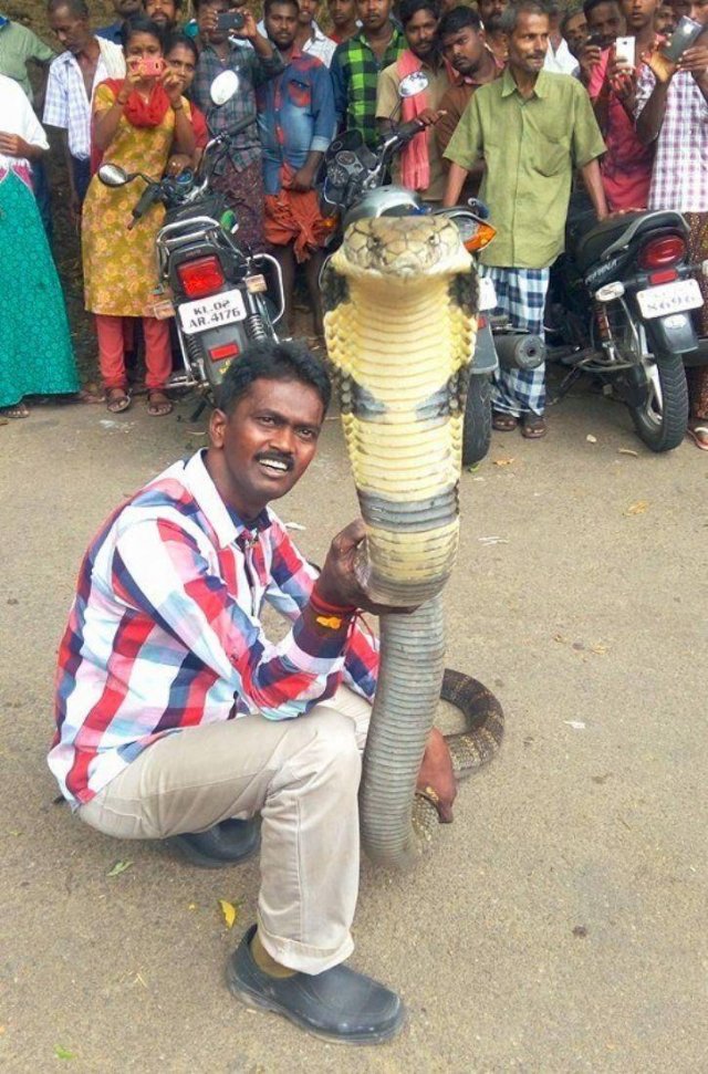 Acid Picdump. Part 2 (95 pics)